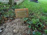 image of grave number 819916